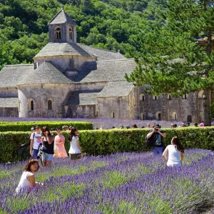 Guide Privé Abbaye de Sénanque *** (2h)