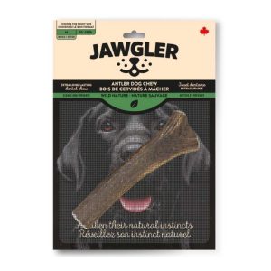 Bois de Cervidés Entier à Mâcher pour Chiens, Nature Sauvage – Jawgler