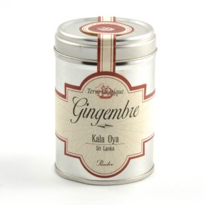 Gingembre en poudre